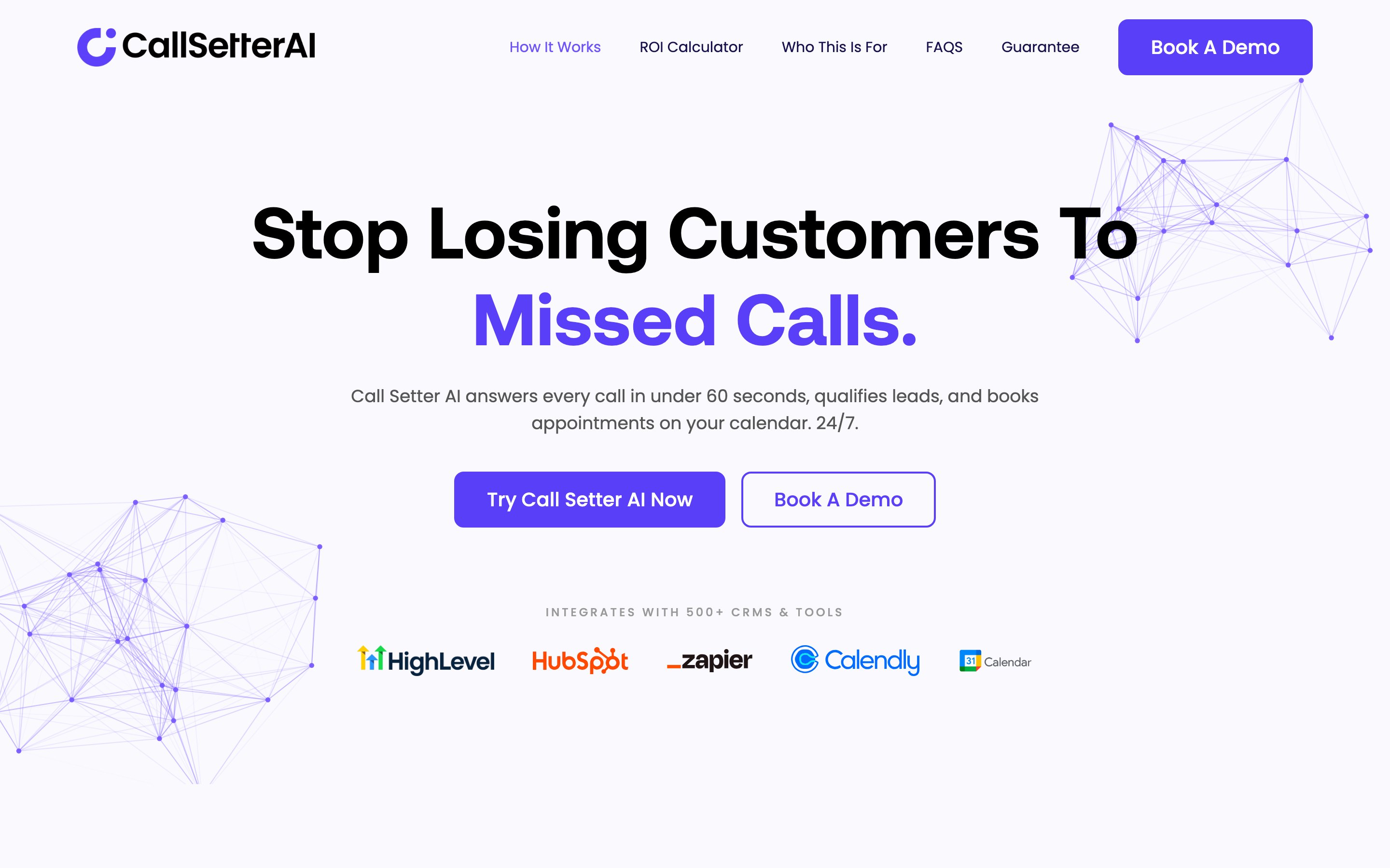 Call Setter AI website